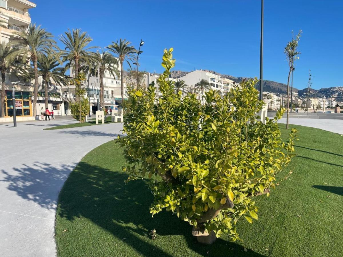 Apartmán Altea Group Experience Exteriér fotografie
